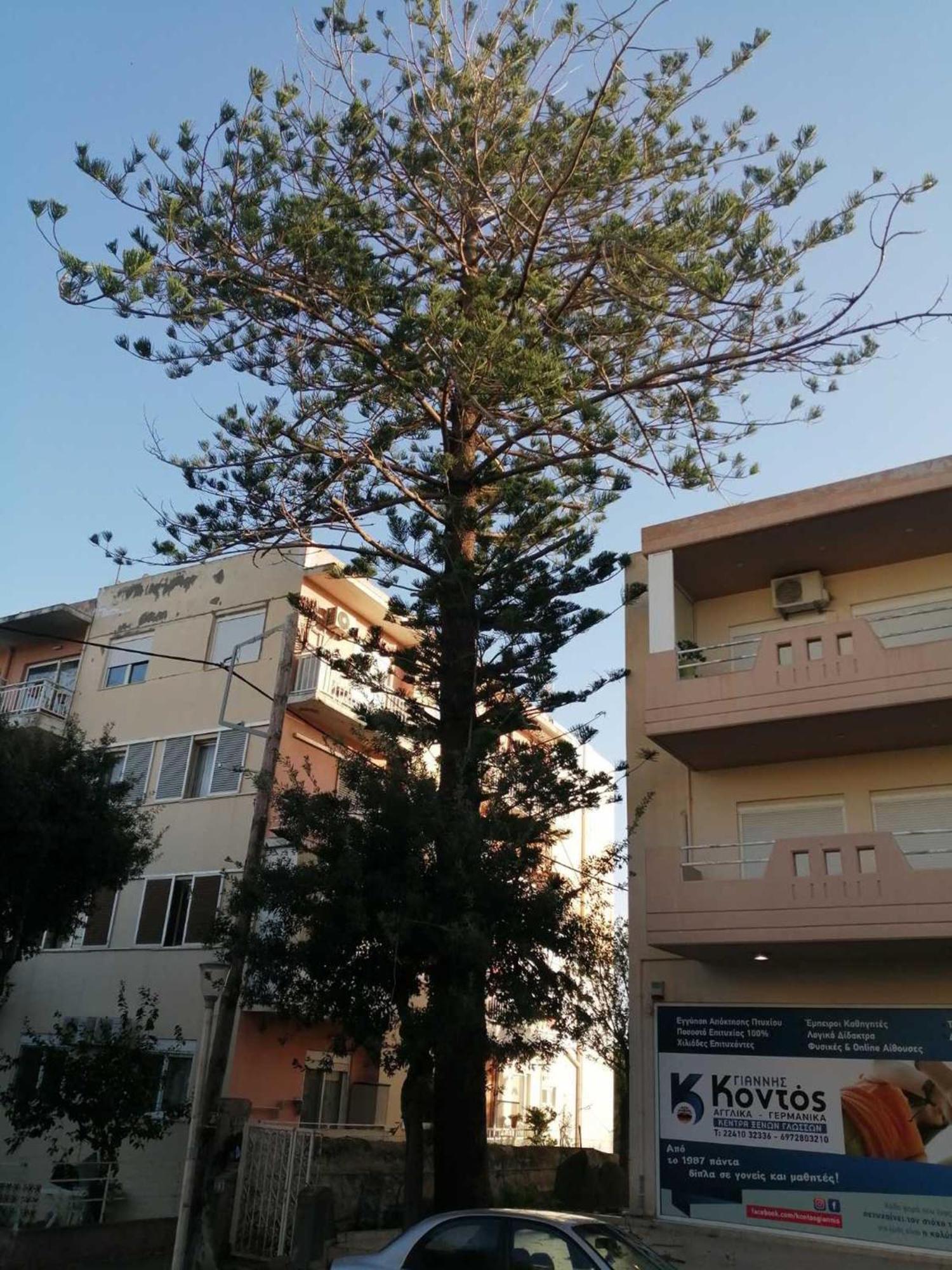 Apartment 29 Rhodes City Εξωτερικό φωτογραφία